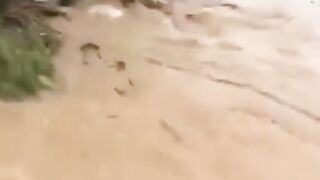 কী ভয়াবহ অবস্থা বন্যা