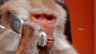 Funny video