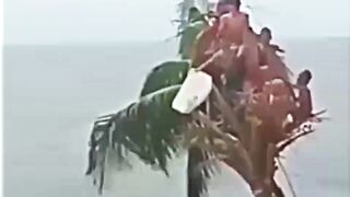 ???????????????? SAD PLEASE HELP ????????????????