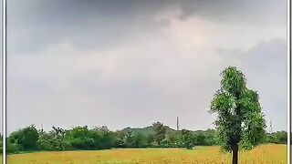 Marwadi  rain