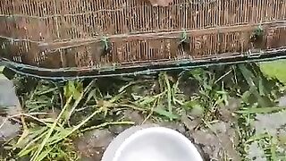 অনেক মজা পাইলা????????