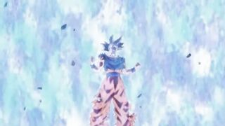 Goku ultrainstinct