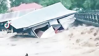 বন্যার জঘন্য রুপ