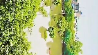 Rain in