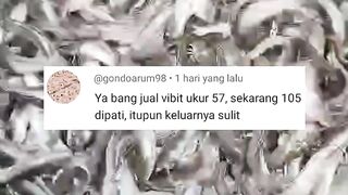 Tantangan pembudidaya lele segmen pembenihan adalah sulitnya memasarkan bibit lele