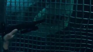Deep Blue Sea  Jim Gets Bit  ClipZone High Octane Hits