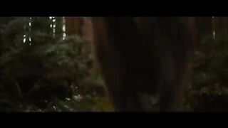 Twilight wolf scenes