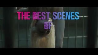 The Best Scenes Of Harley Quinn  Suicide Squad [HD]
