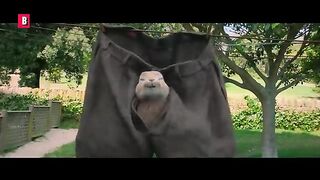 Crazy Rabbit rampage scenes ???? 4K 2