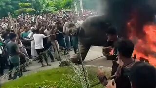সব পুরে শেষ! Fire out of control