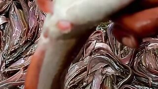 Stop Motion ASMR - Believe This Fishing? Big Red fish Carp eel videos Mudfish Cooking 7