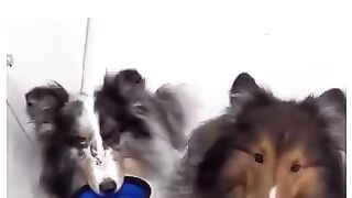 Funny ???????? 91