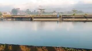 Sunrise in the fish pond at Tulungagung