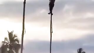 Wawwaw