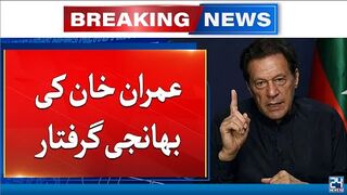 Imran Khan Niece Arrested In Hit And Run Case