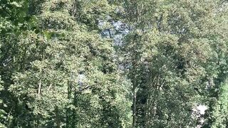 Nature sur les hauteurs