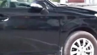funny video about snake