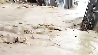 Bangladeshi bonnar Pani