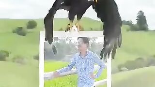 G8RmgbnQQNXQWeNeMFdWlZYIk0L.