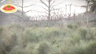 এবার কি ভারতকে কড়া জবাব দেবে বাংলাদেশ