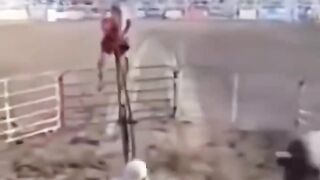 Funny video