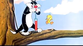 Jom & jerry