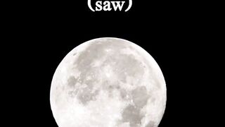 Who is Muhammad (saw)