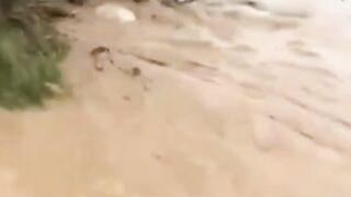 video 876