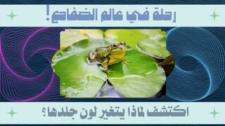 لن تصدق السبب الذي يجعل الضفادع تغير لون جلدها!