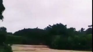 video 887
