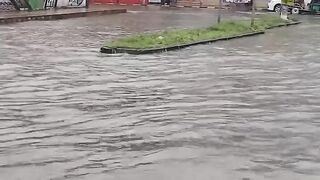 ভিডিও: রয়েলের মোড়  খুলনা।