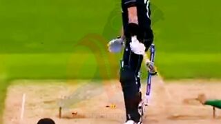 vs new zealand