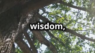 Motivational Video 17