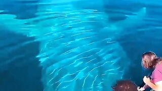 Upward to fish ???? in water????????