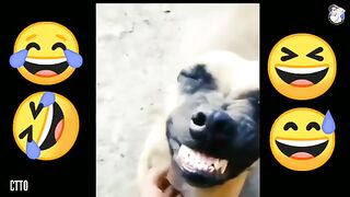 meme part 3