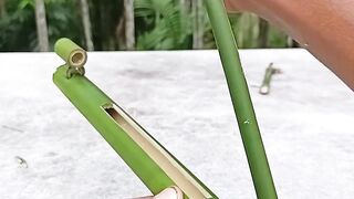 Bamboo creation