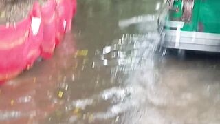 Flood 11