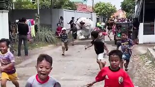 funny video #foryoupage #foryou #viraltiktok #unf #viral #funnyvideos