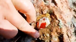 Encuentra un tesoro