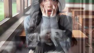 cat videos //cute cat videos //meow meow//so nice cat