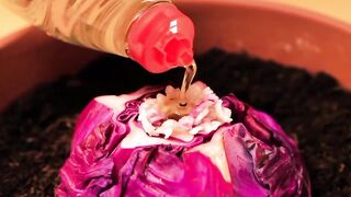 গল্প : বাড়িওয়ালার মেয়ে যখন বউ। পাট ১