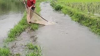 মাছের পরিবর্তে  আজ অনেক কিছু কুড়িয়ে পেলাম