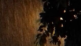 The rain 6