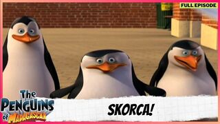 Penguins Madagascar action comedy drama