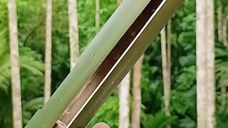 Bamboo Creation