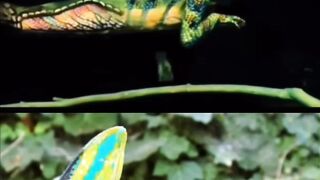 Amazing art 16