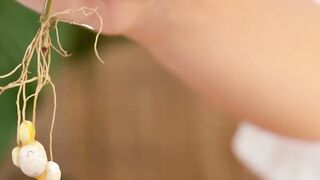 গল্প : বাড়িওয়ালা মেয়ে যখন বউ। পাট ২