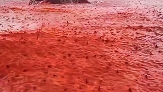 Blood rain ????️