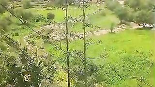 مديريه سرار يافع