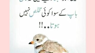 شرعی مسائل اور ان کا حل 463
